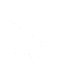 Estrella Damm