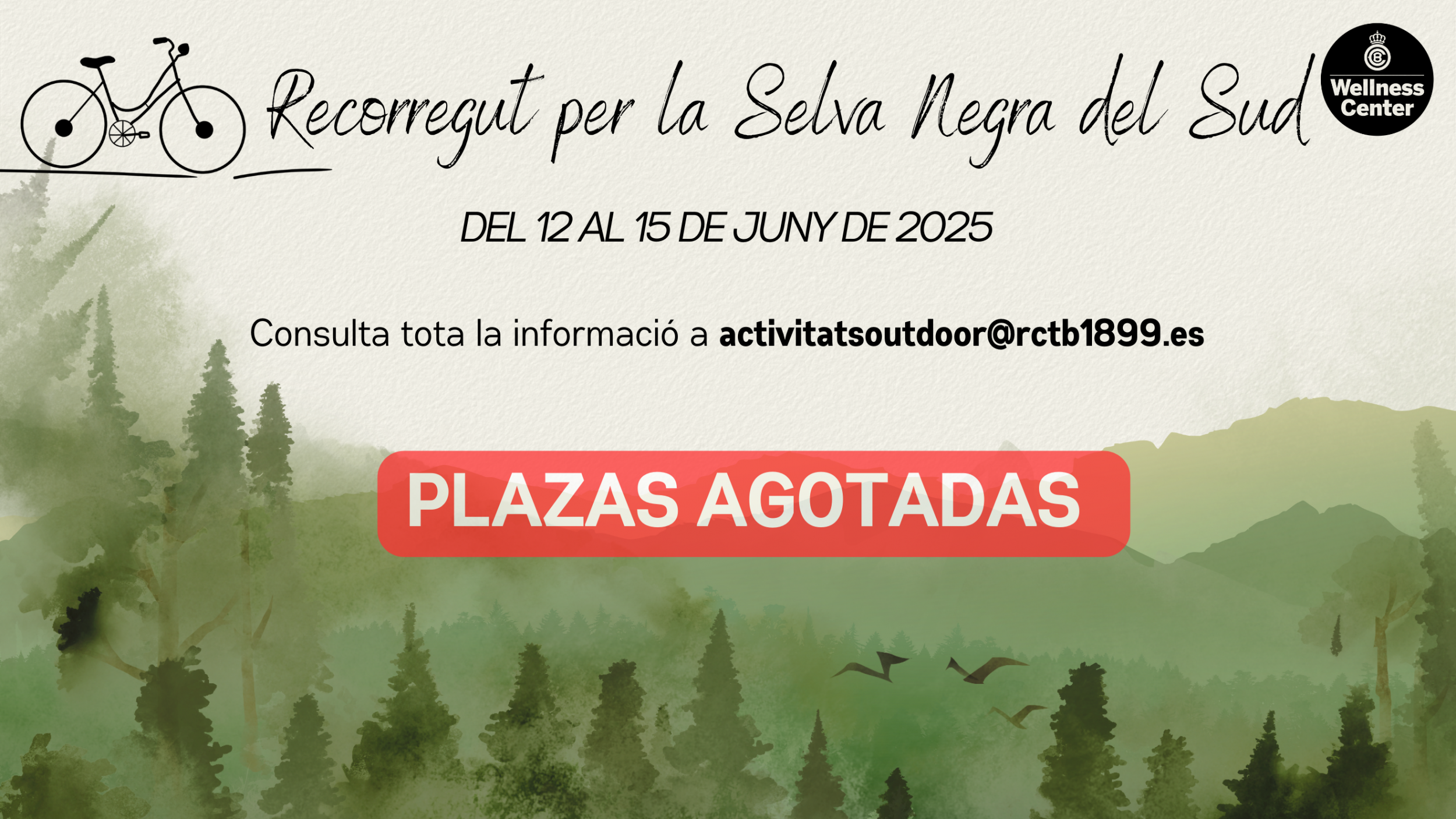 Recorrido en bici por la Selva Negra del Sur