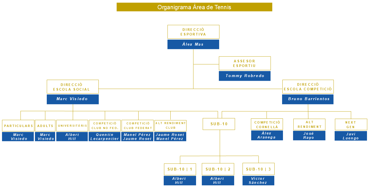 organigrama