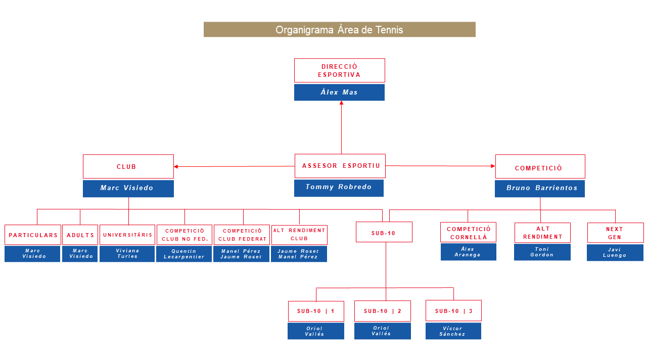 organigrama