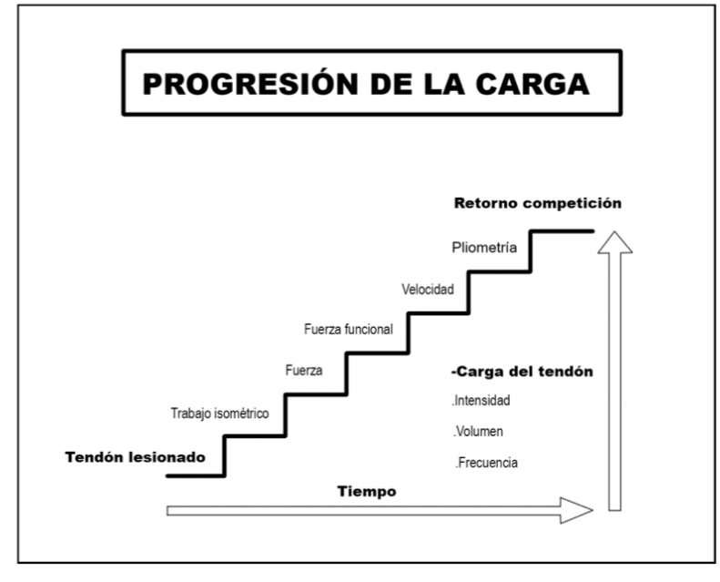 Progressió de la càrrega