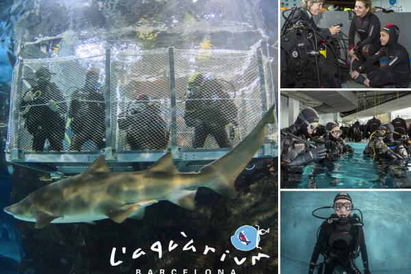 L'Aquarium, descomptes especials per a Socis de l'RCTB-1899