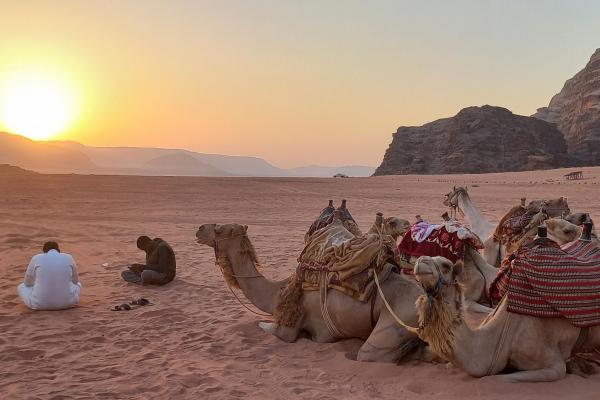 Autora: Eulàlia Vilardell | Título de la obra: En la calma del desert, el sol i els camells es desperten junts de bon matí | Categoría: Aventura