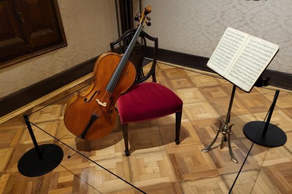 Un grup de socis i sòcies gaudeixen de l'art i la música al Museu Pau Casals