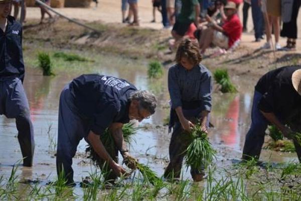 Autora: Anna Vidal Aparicio | Títol obra: La Plantada II | Categoria: Família