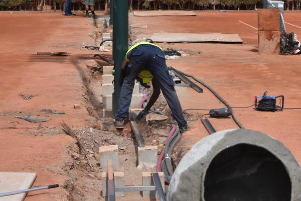 Actualización Proyecto Cipreses