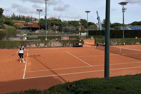 Actuación en el ciprés de la Pista 4