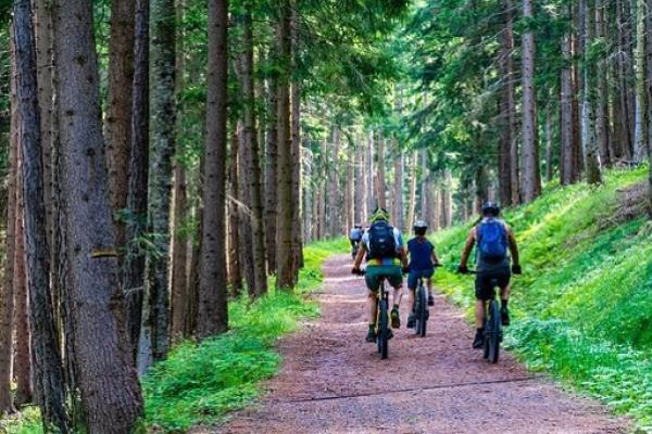 Excursión Selva de Irati