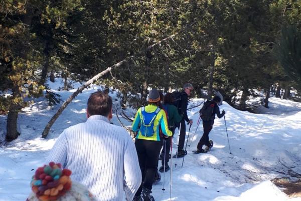 Els socis gaudeixen a la sortida amb raquetes de neu al Pirineu