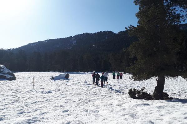 Els socis gaudeixen a la sortida amb raquetes de neu al Pirineu